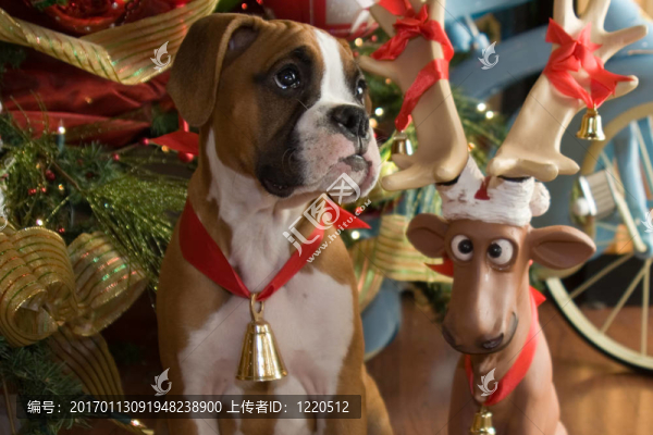 Santa請(qǐng)