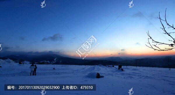 日出,白雪,冬
