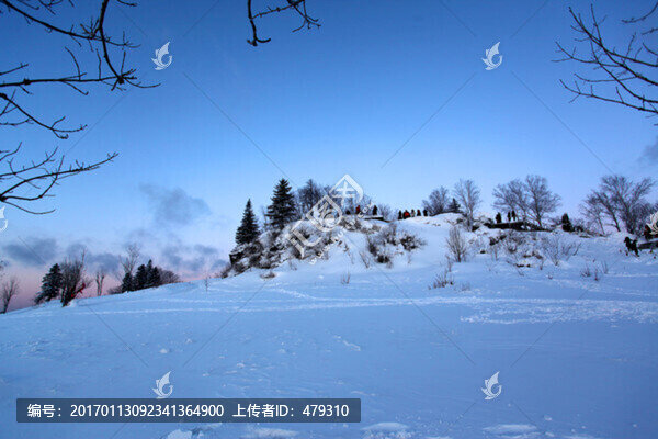林海雪原,雪鄉(xiāng),樹木,白雪,冬