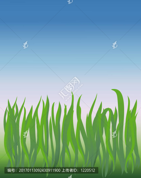 向量的草