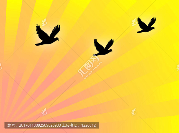 鳥(niǎo)飛