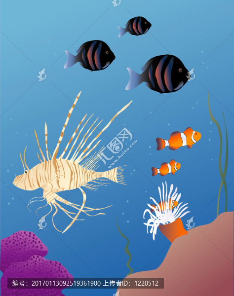 熱帶魚