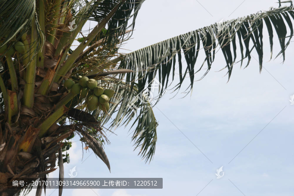 自然背景