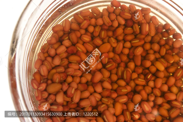 綠豆浸泡