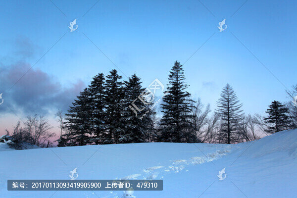 林海雪原,雪鄉(xiāng)樹木,白雪,冬天