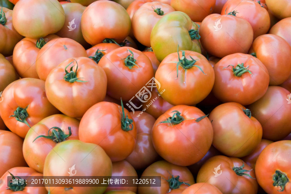 西紅柿