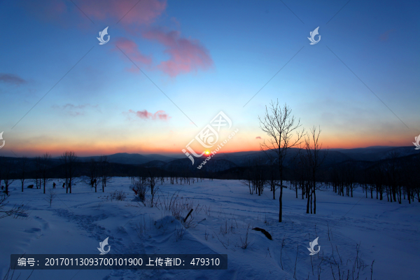 日出,白雪,冬
