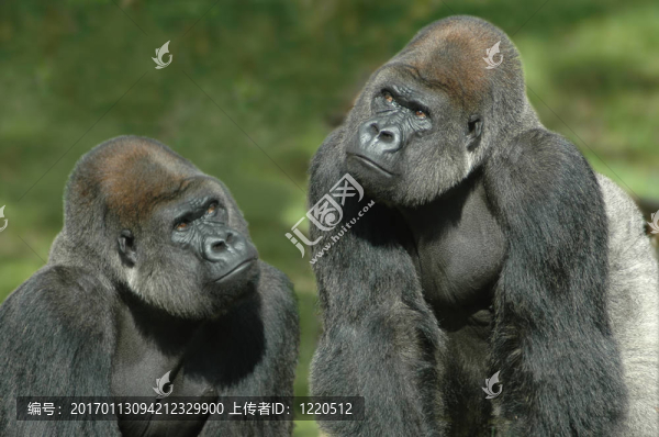 認(rèn)為