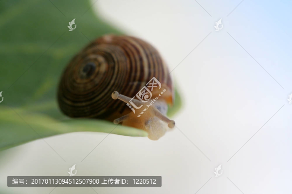 老大哥2