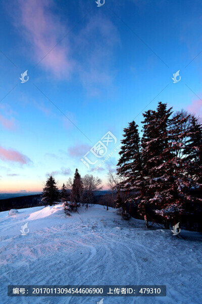 林海雪原,雪鄉(xiāng),白雪,冬