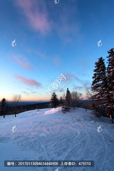 林海雪原,雪鄉(xiāng)樹木