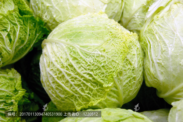 生菜