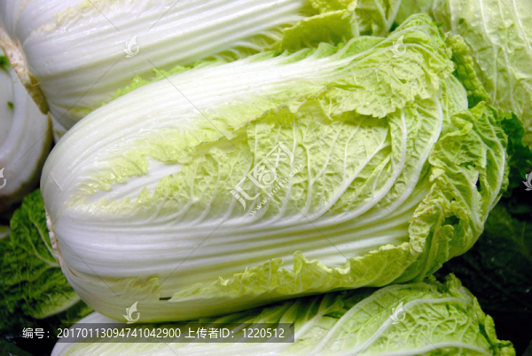 綠葉生菜