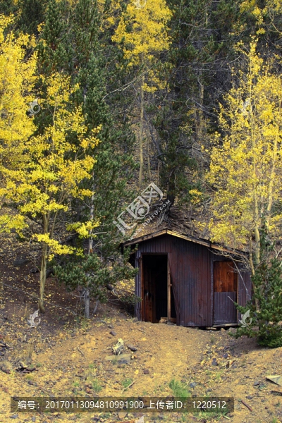 秋天的樹(shù)林里的小屋