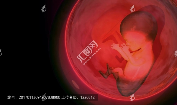 胎兒