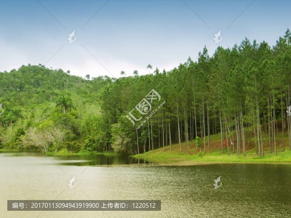 美麗的湖泊景觀