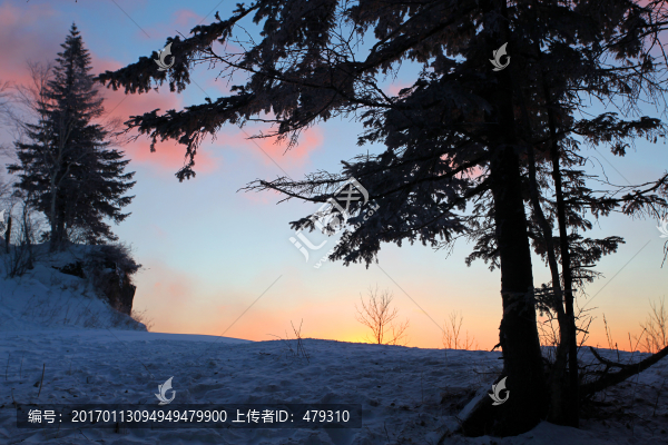 林海雪原,雪鄉(xiāng),日出,白雪,冬