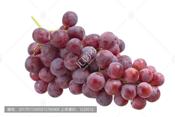 葡萄簇