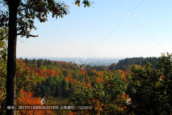 一個(gè)秋天的風(fēng)景