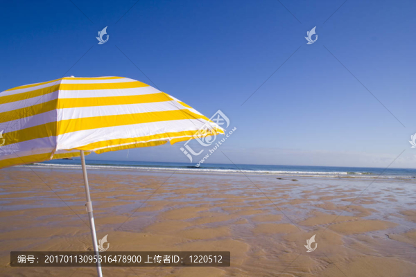 沙灘上的黃色的雨傘