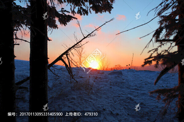 林海雪原