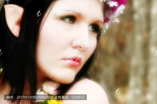 美麗的仙女或Wood,Elf