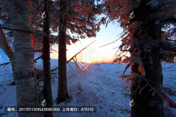 林海雪原,雪鄉(xiāng),白雪,日出
