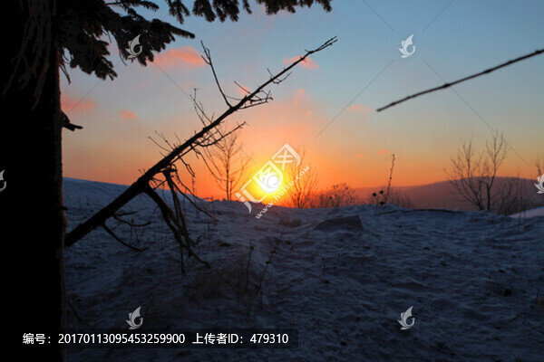 日出,白雪,冬