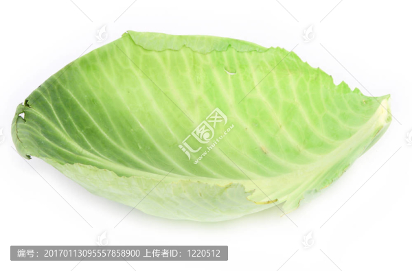單甘藍(lán)葉2