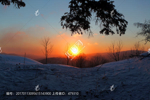 林海雪原,雪鄉(xiāng),日出,白雪,冬