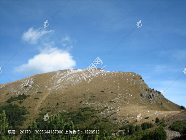 山