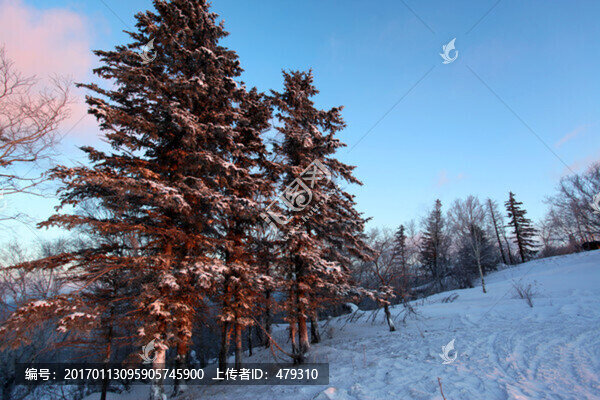 林海雪原,雪鄉(xiāng)