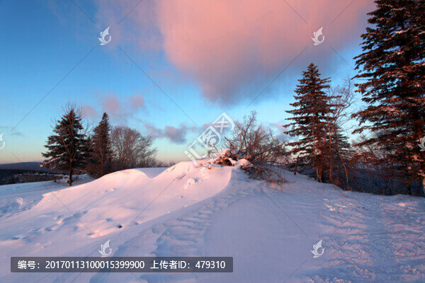 林海雪原,雪鄉(xiāng)樹木,白雪,冬天
