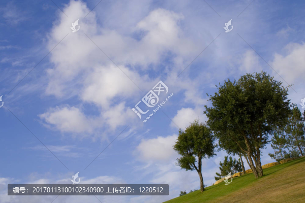 在公園散步