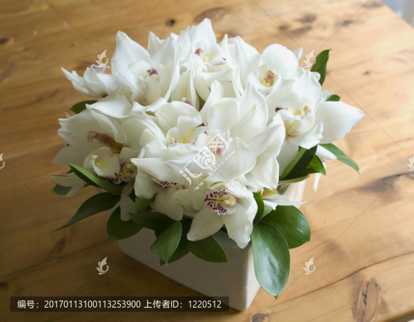 蘭花
