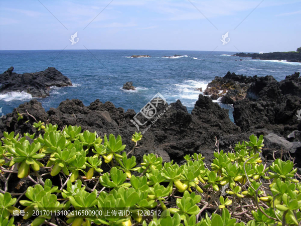 熔巖海岸線