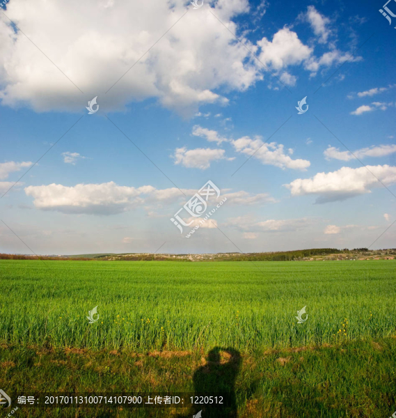 春天的風(fēng)景