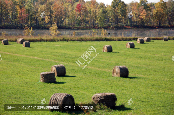一個(gè)秋天的風(fēng)景