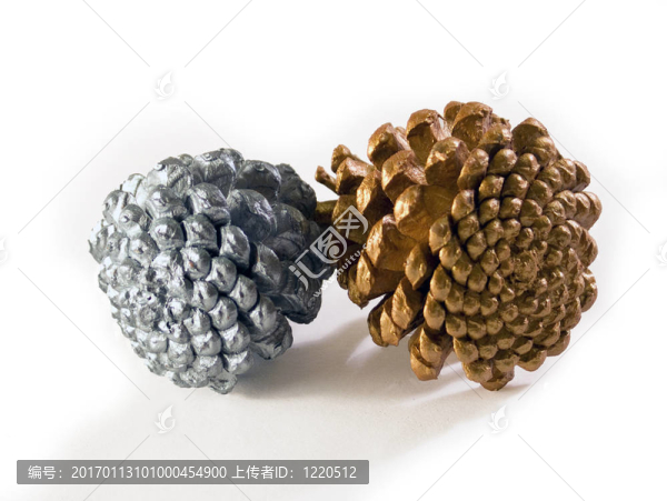 金色的松果-匯圖網(wǎng) www.fosd68.com 金色的松果