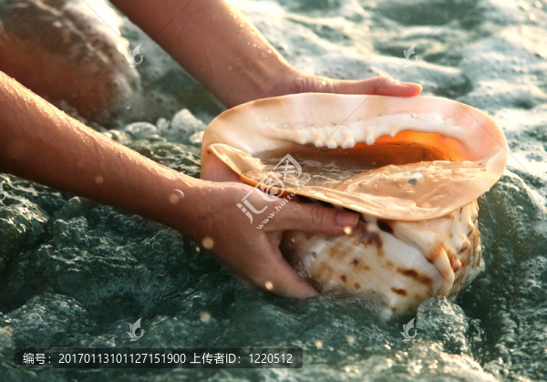 海螺殼