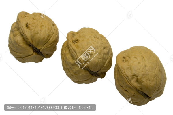 核桃樹