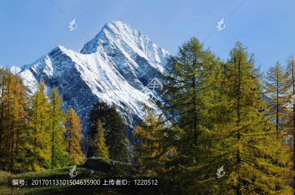 秋天的山風(fēng)景區(qū)