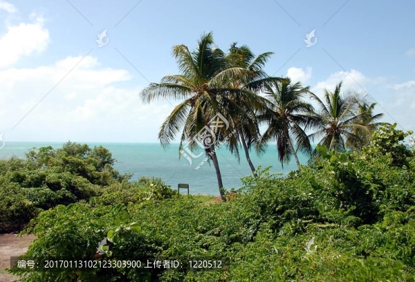 熱帶海灘