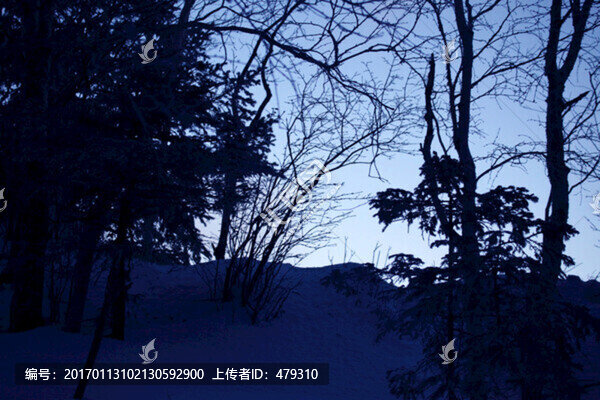 林海雪原,雪鄉(xiāng)