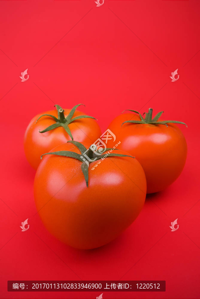 大的西紅柿