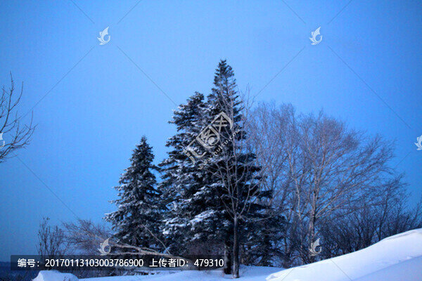 林海雪原,雪鄉(xiāng),白雪,冬天,山