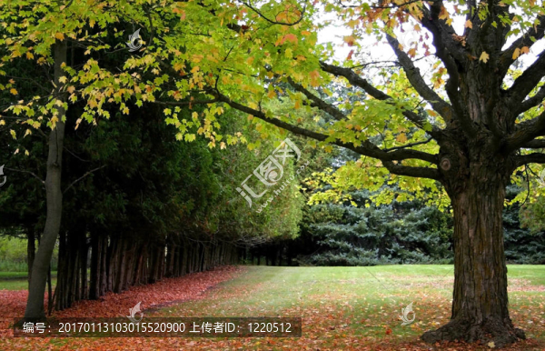 秋天的場景