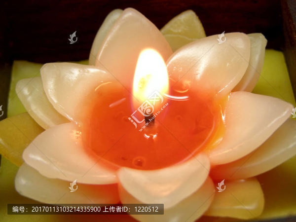 花卉蠟燭