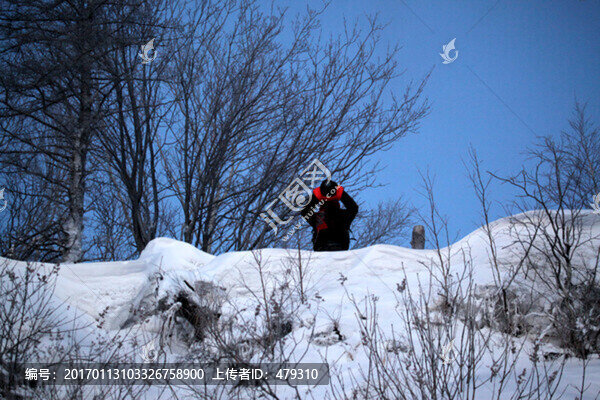 林海雪原,雪鄉(xiāng),白雪