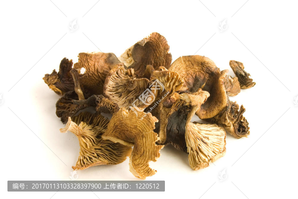 蘑菇干